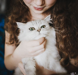 Petting a White Cat