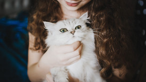 Reasons to Offer Post-Adoption Support