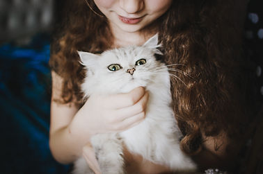 Cat Friendly Apartments in Omaha