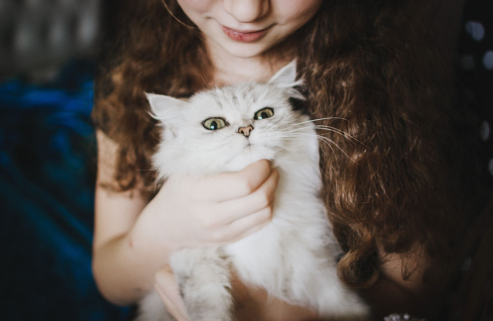 Caresser un chat blanc