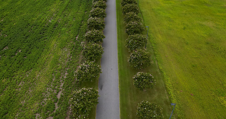 dji_fly_20220829_162732_75_1661805019727_photo.jpg