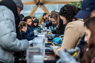 Winter Ice_Canary Wharf_November 2022_210 (compressed) (6).jpg