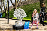 70 Years Anniversary Oak - Tree - North York Moors National Park - York Ice Trail 2022 (9)