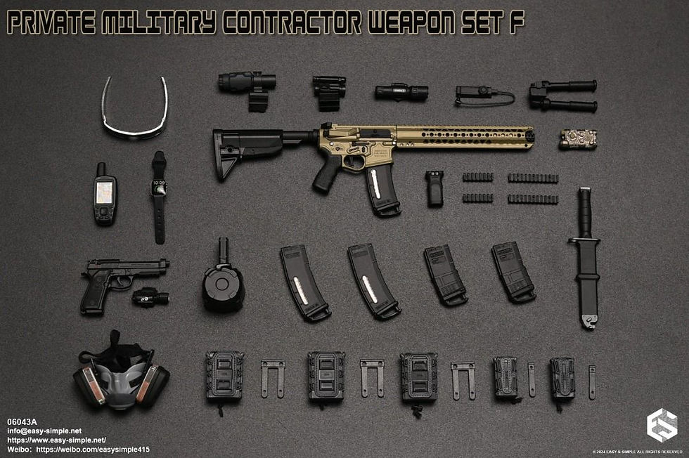 Easy&Simple 06043 Private Mlitary Contractor Weapon Set F 2