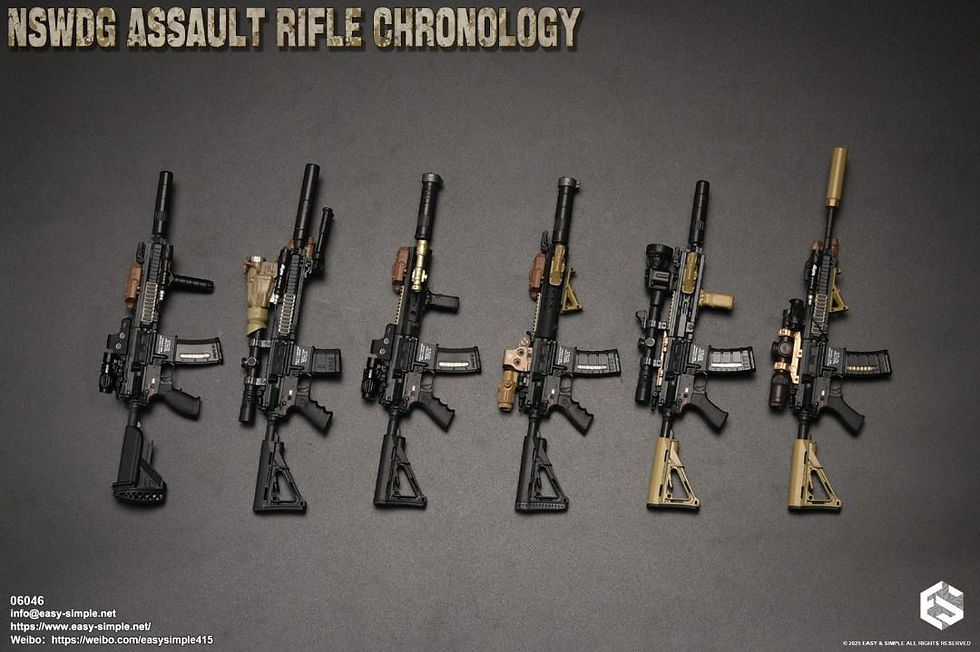 Easy&Simple 06046 NSWDG Assault Rifle Chronology