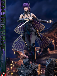 SWTOYS | Singapore | Nighthood Collectibles