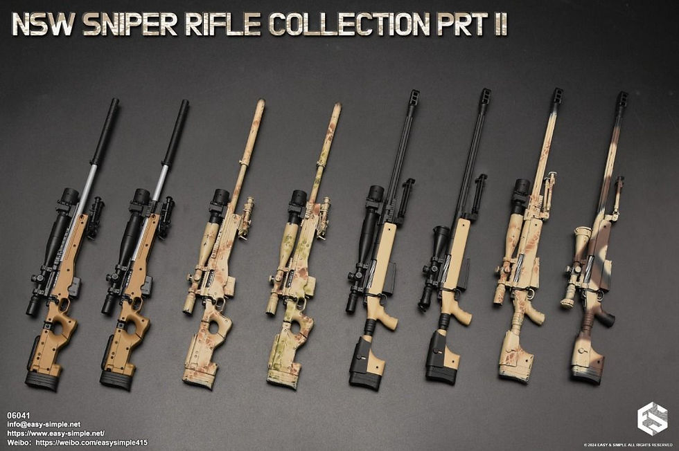 Easy&Simple 06041 NSW Sniper Rifle Collection PRT Ⅱ 1