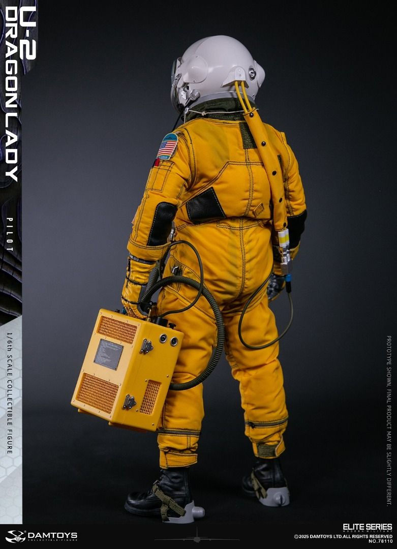 Thumbnail: DAMTOYS 78110 U-2 Dragon Lady Pilot 1/6 Figure 4