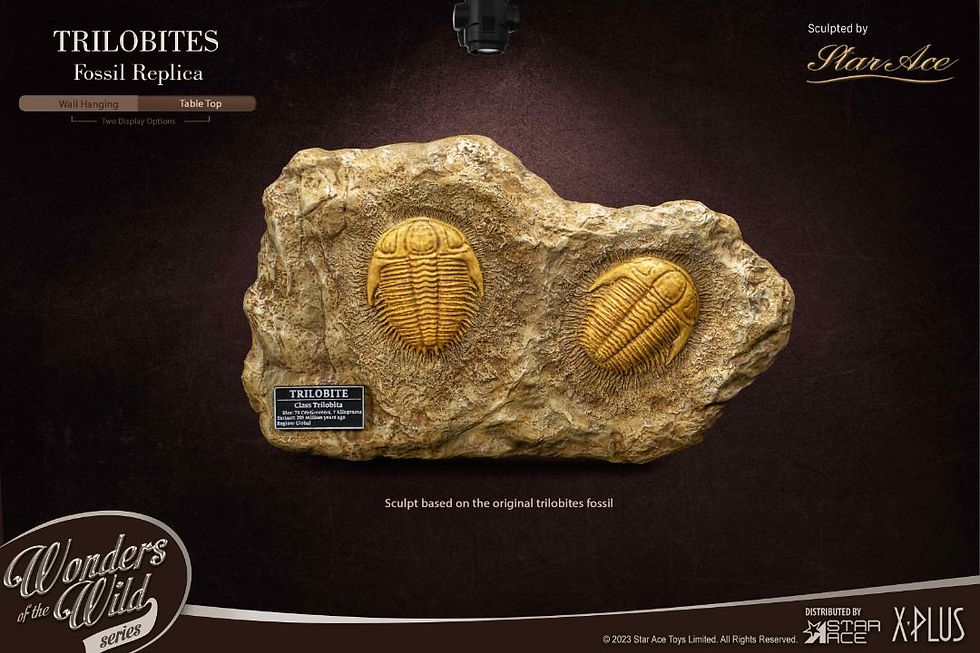 Thumbnail: Star Ace Toys SA5022 Trilobites Miniature Frame & Fossil (Deluxe Ver.) 5