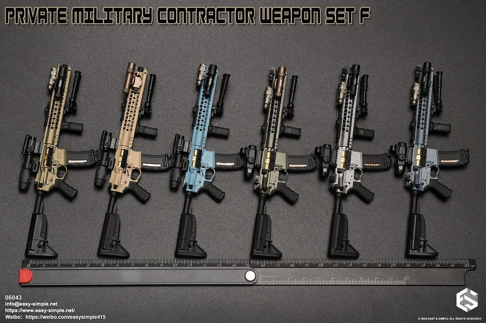 Easy&Simple 06043 Private Mlitary Contractor Weapon Set F 1