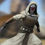 Thumbnail: Diamond Select Star Wars Gallery The Old Republic Jedi Revan Statue 8