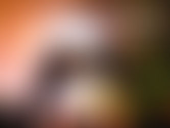 Chic-Tribe Digital Magazine Launches Media Coverage Services for 2026