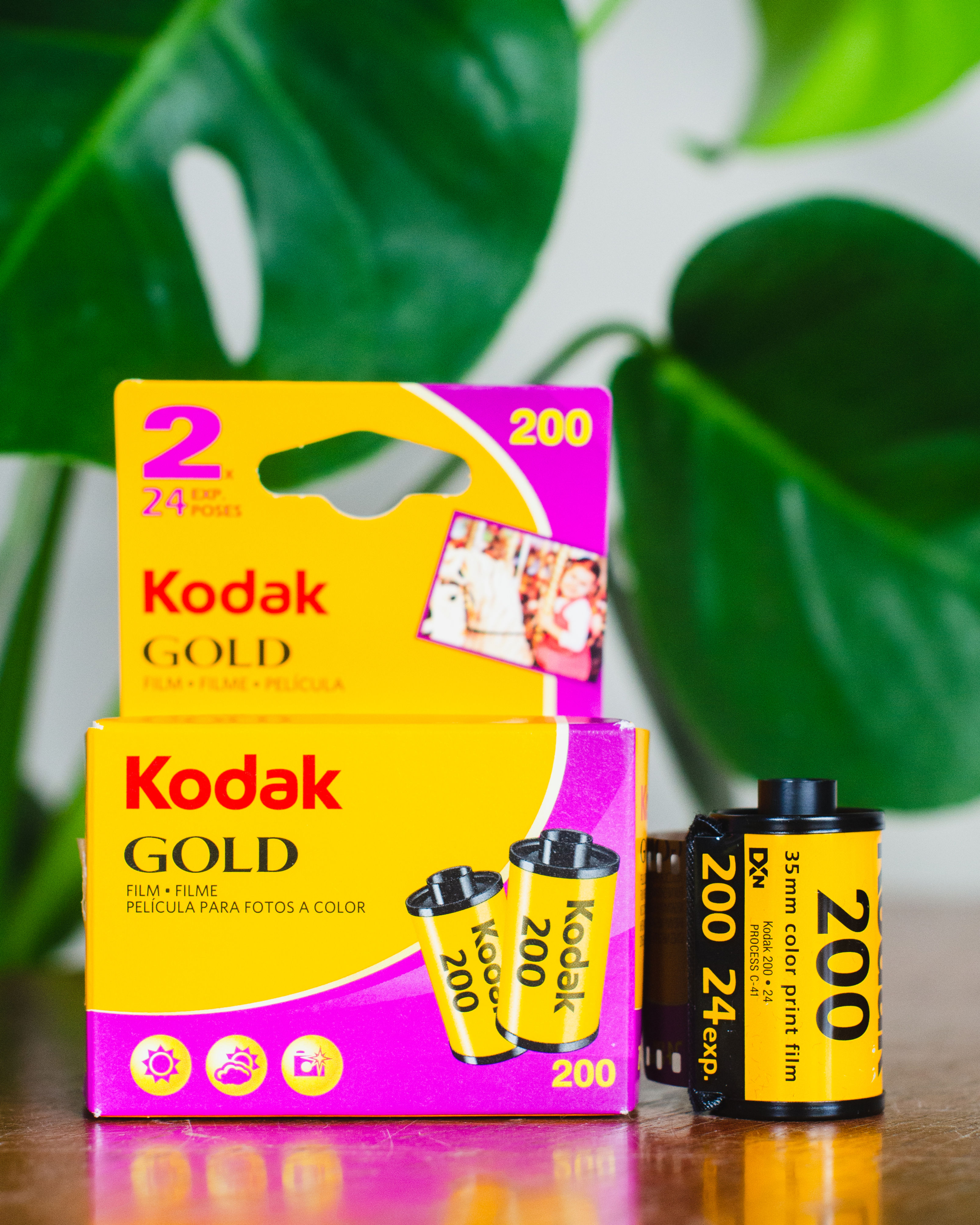 Pre-Paid Dev & Scan: Kodak Gold 200 36 exp. 35mm