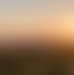 Abandoned Dry Cleaners Site Poses Vapor Intrusion Threat to Residents of Bellevue, Nebraska