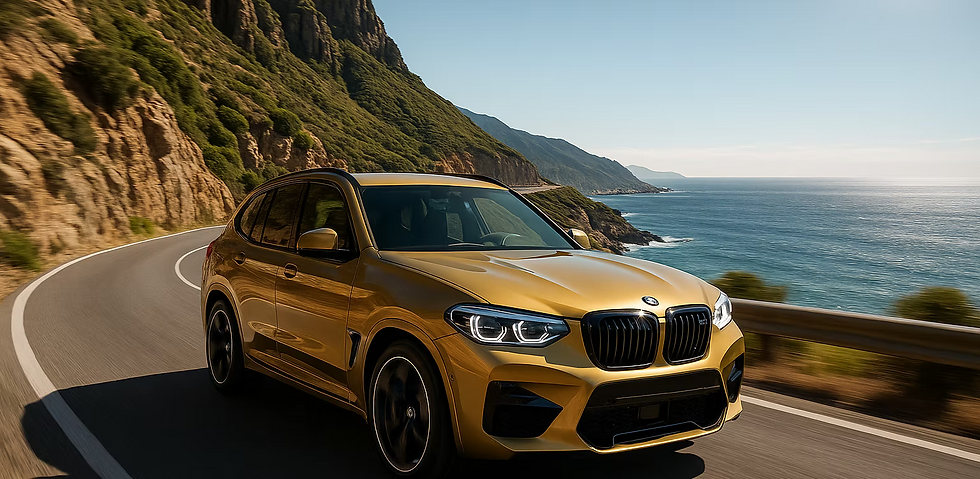 3b0344_21fd5fbcf12c466590c5d263823b55b4~mv2 (1).png