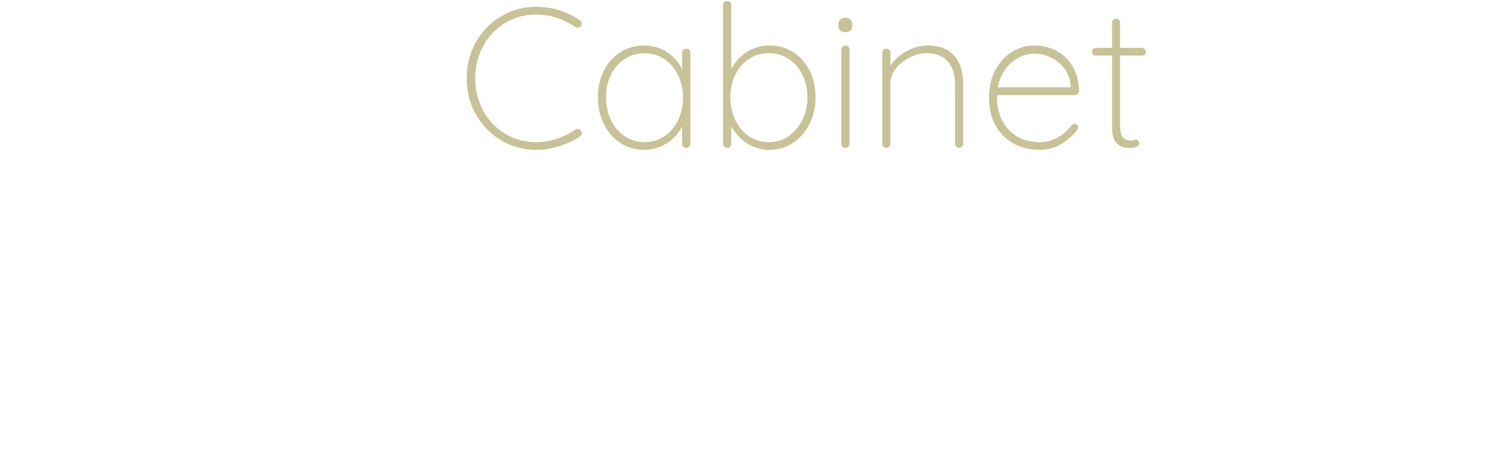 Cabinet Weber logo smaller-white.png