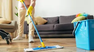 professional house cleaning services in elk grove ca
