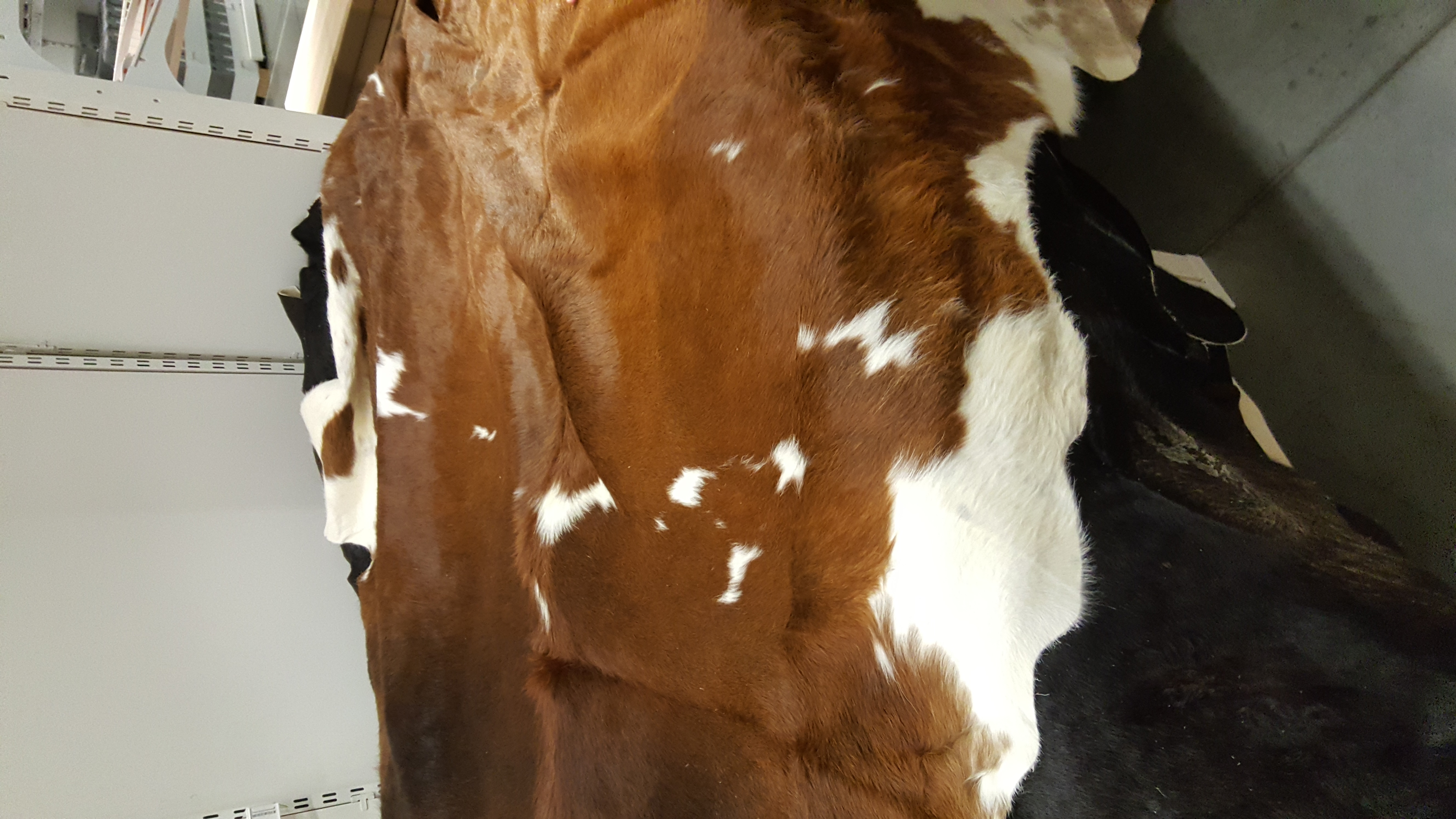 Cowhide