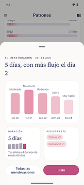 Resumen del periodo de Majella en español con datos ficticios de ejemplo