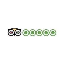 tripadvisor-logo-01.png