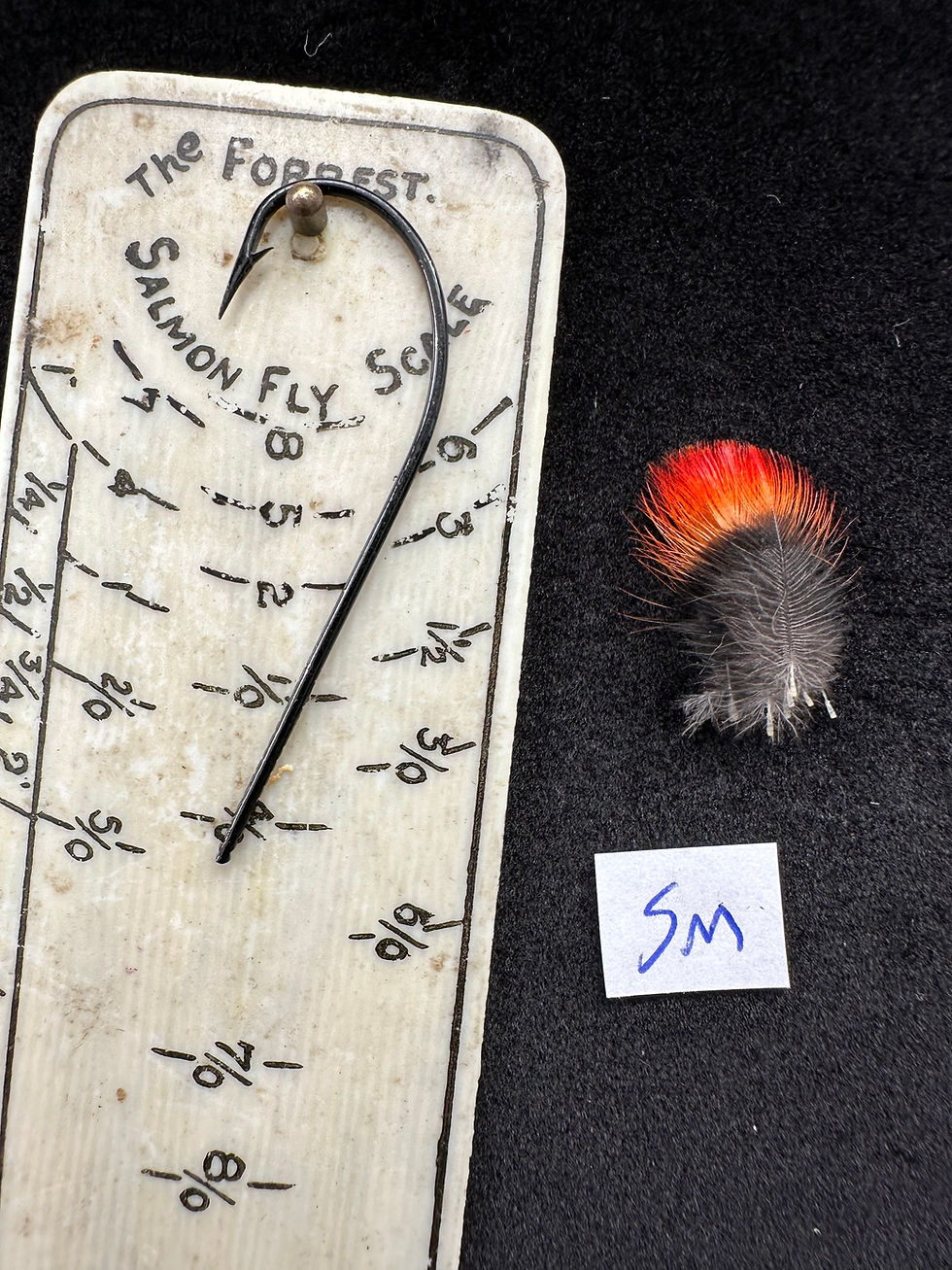 Thumbnail: Indian Crow feathers 