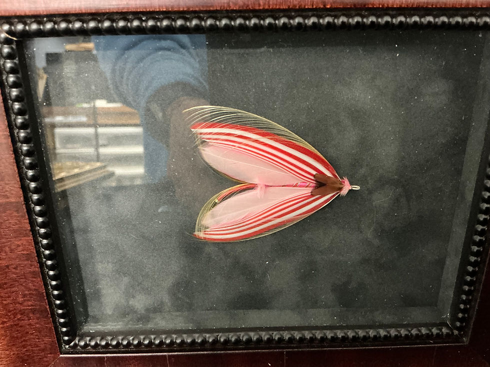 Thumbnail: Dr. James Goggans framed  Salmon Fly