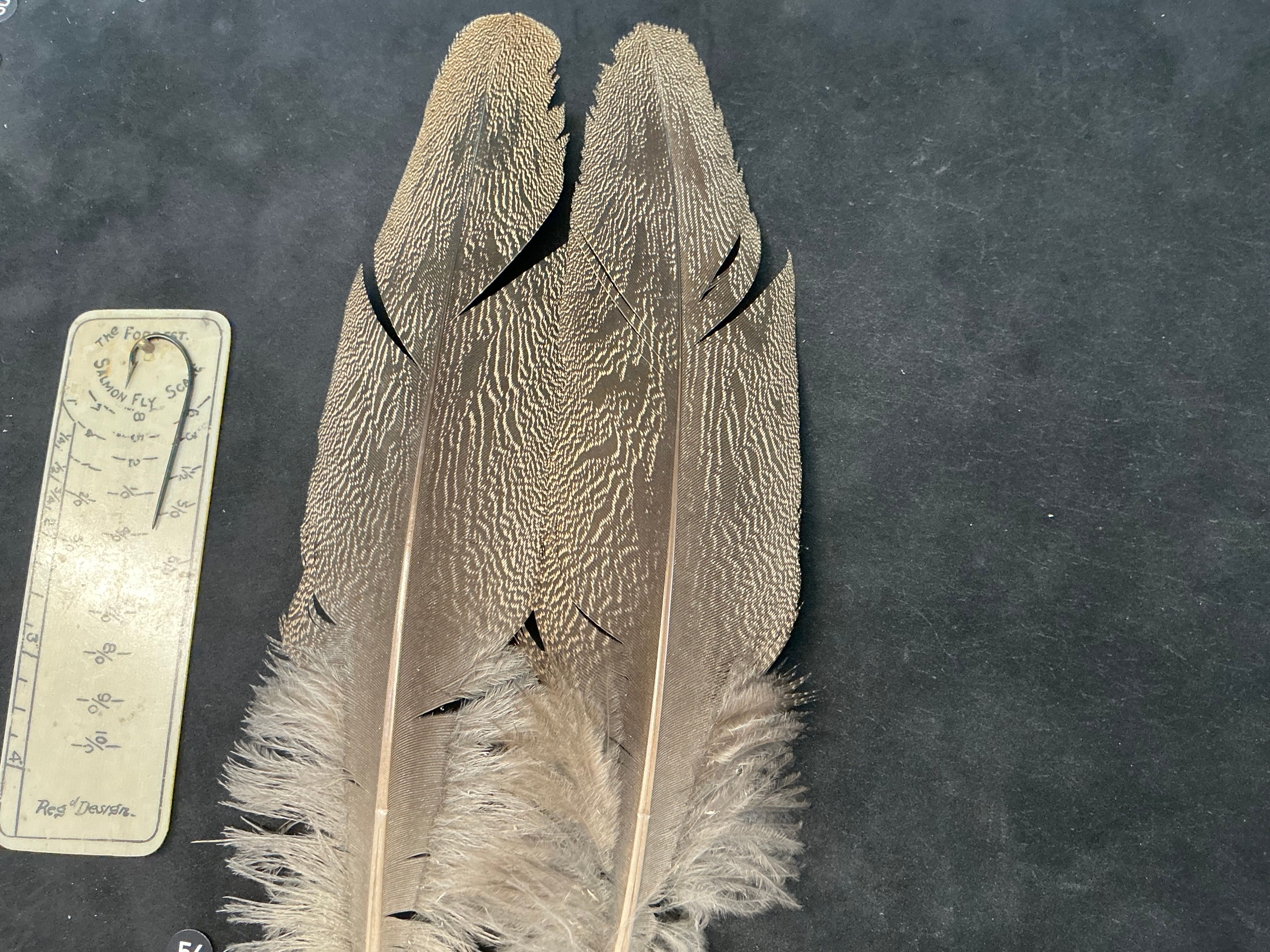 Kori Bustard  feathers  as shown 3/0 #56