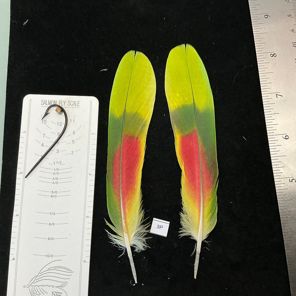 Thumbnail: Matched  parrot feathers for  Salmon Flies 3K-3X