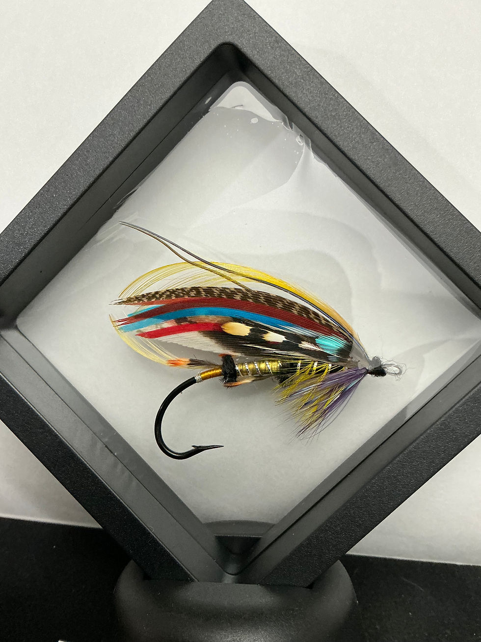 Thumbnail: Ronn Lucas Salmon Fly 82T