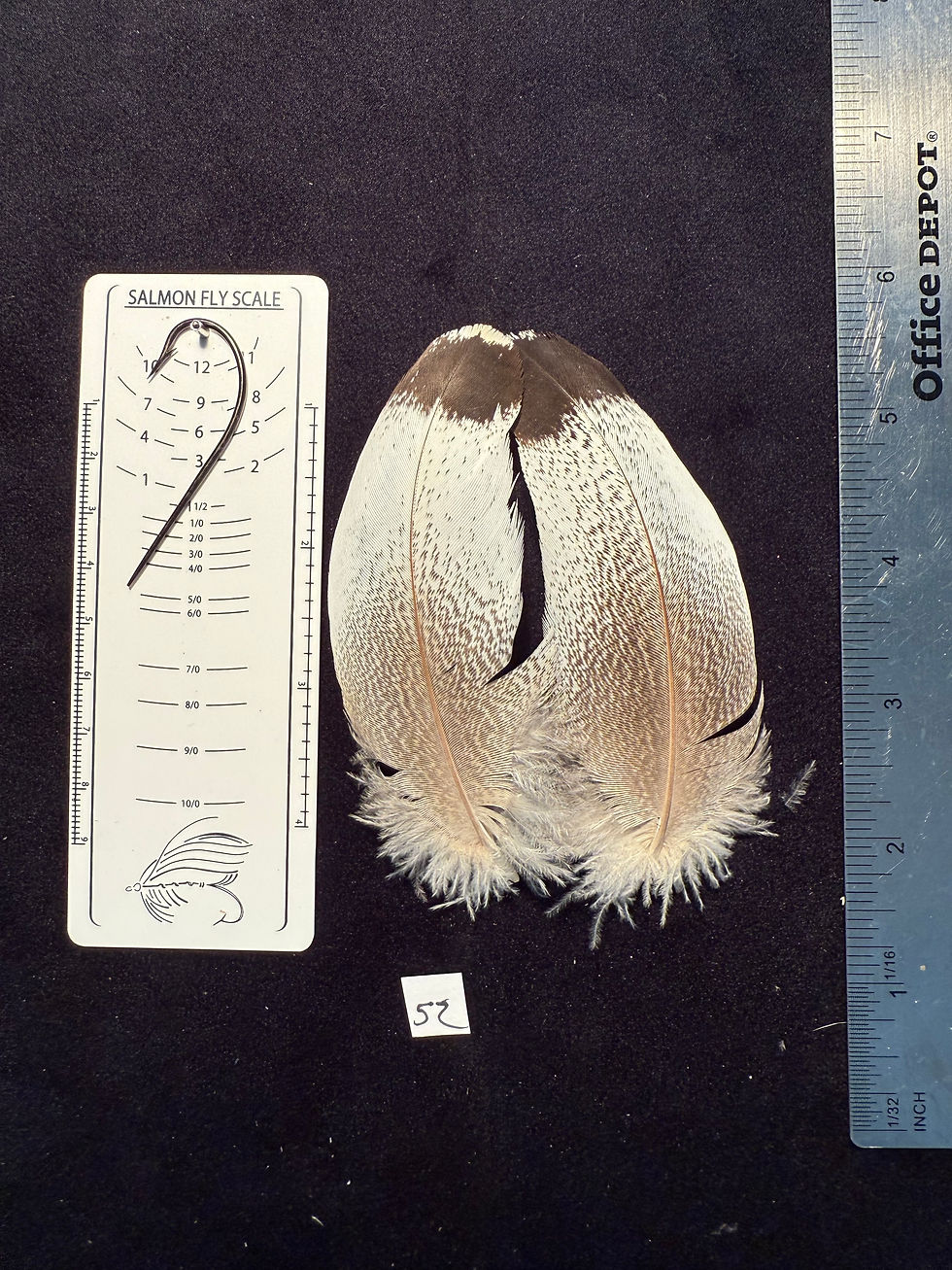 Thumbnail: Kori Bustard feather pairs as see in pictures.