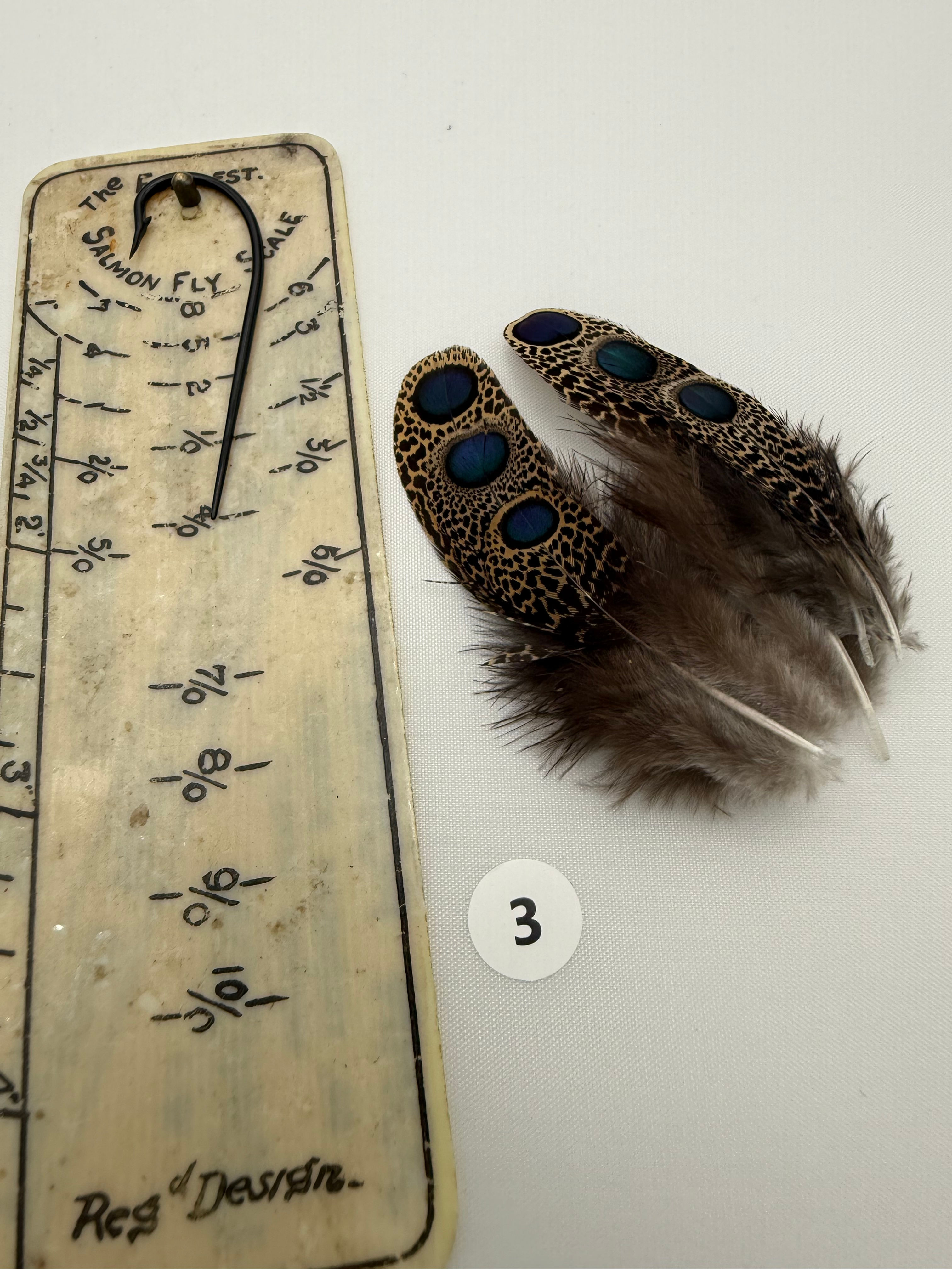 Malayan Peacock Pheasant  Eye Feathers (3 pair) #3
