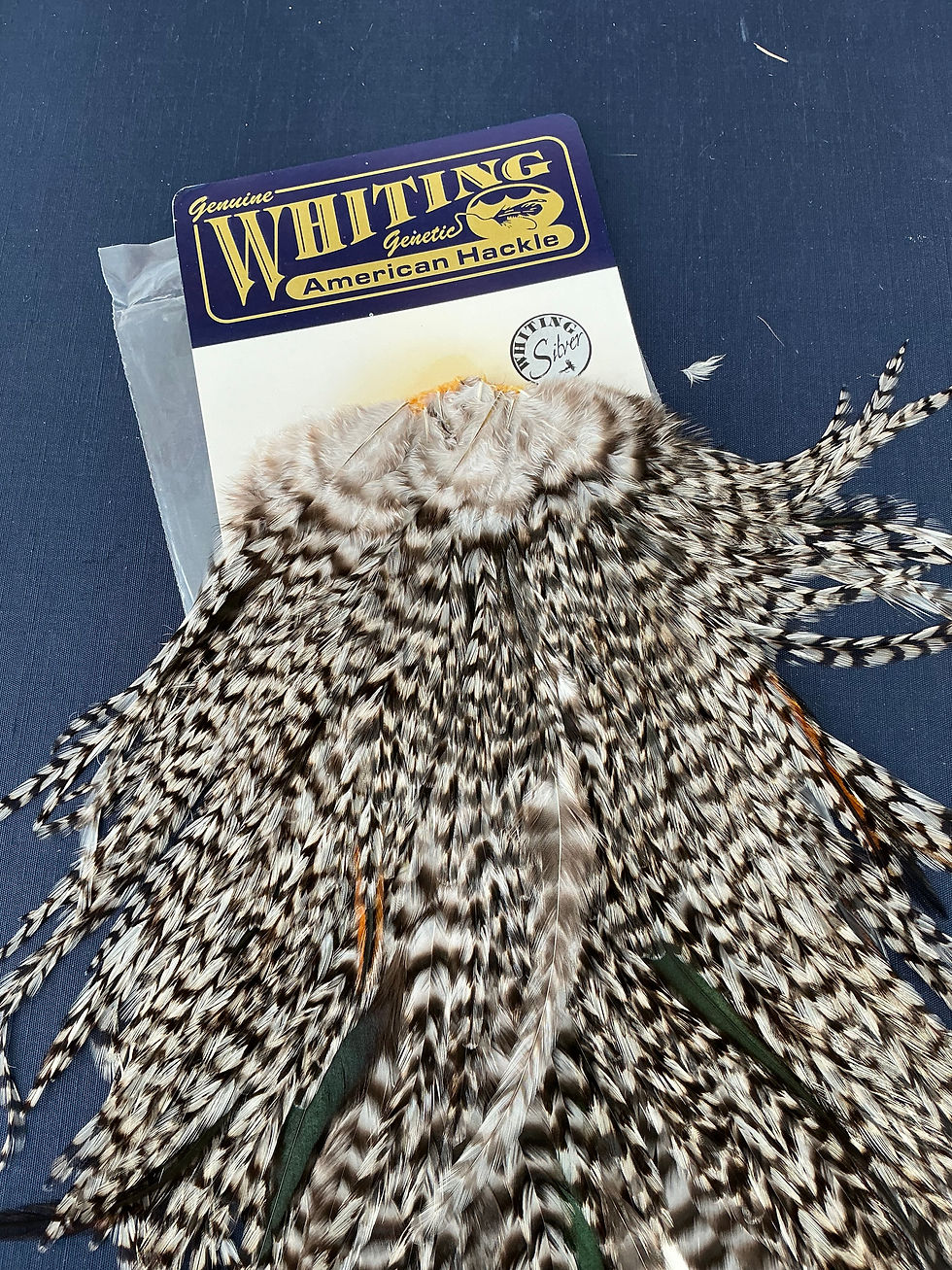 Thumbnail: Vintage Whiting American Genetic Grizzly Saddle Hackle N25