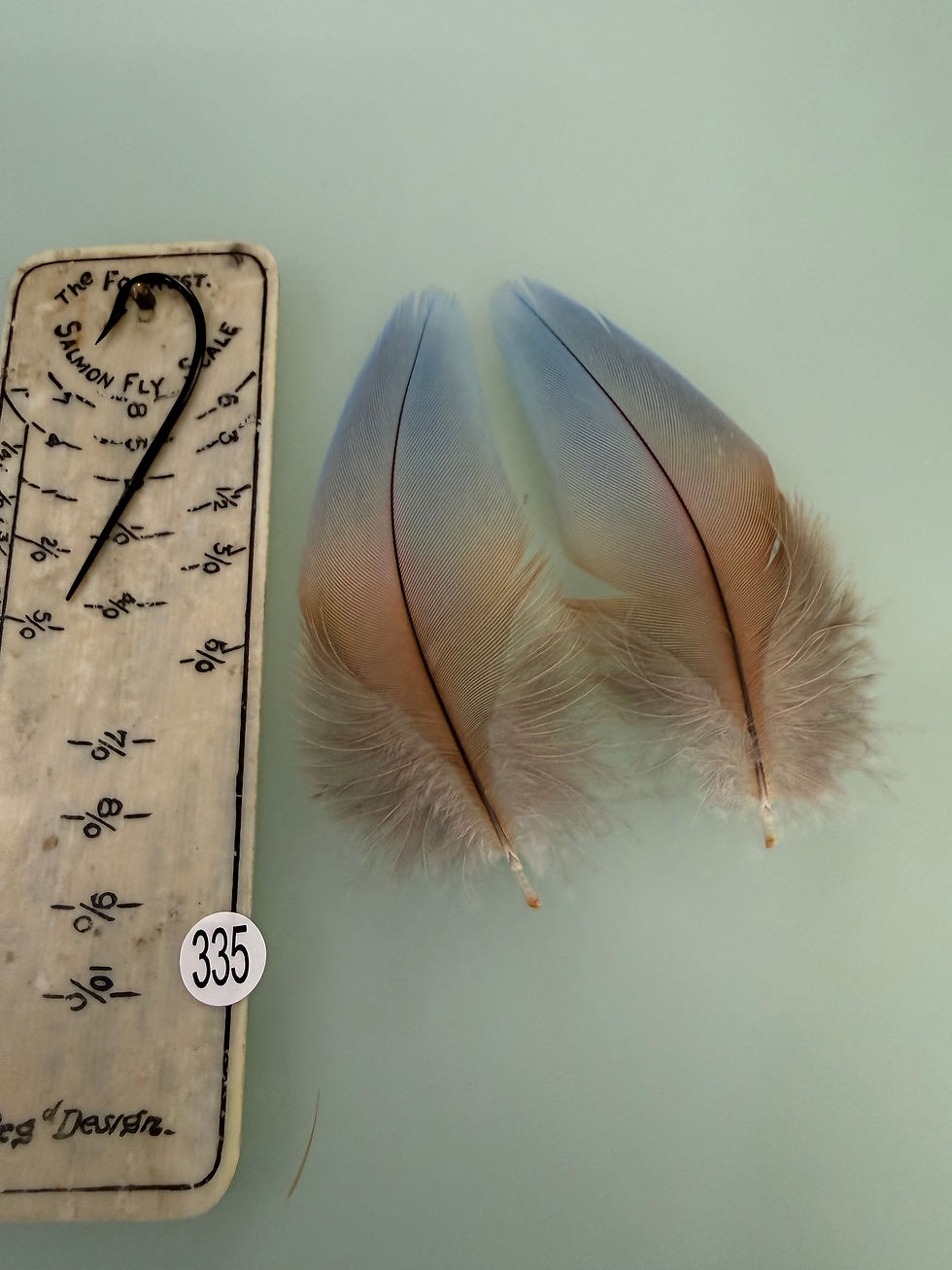 Thumbnail: Matched  Macaw Parrot feathers for  Salmon Flies 330-344