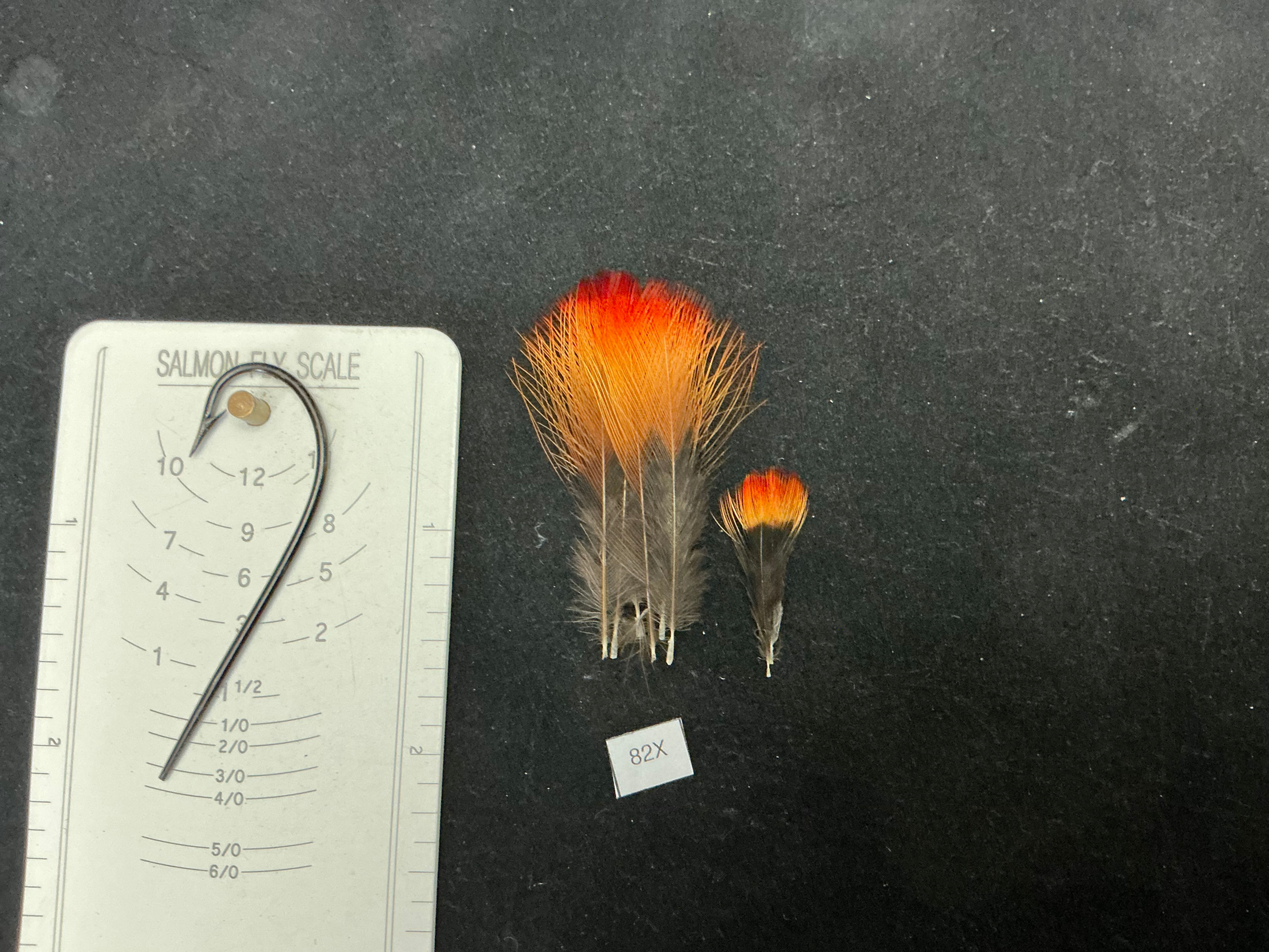 Christmas Stocking stuffer BEST of BEST Indian Crow 82x