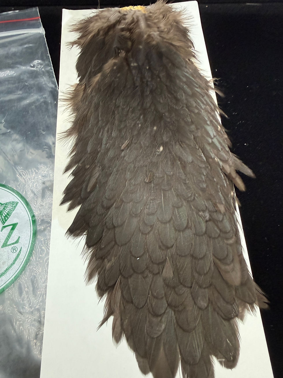 Thumbnail: Vintage  Grade #1 Metz Hen Saddle Lucas Collection 43