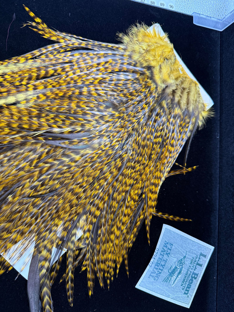 Thumbnail: Vintage L.L. Bean Dry Fly Neck Hackle from Cullen Collection 36