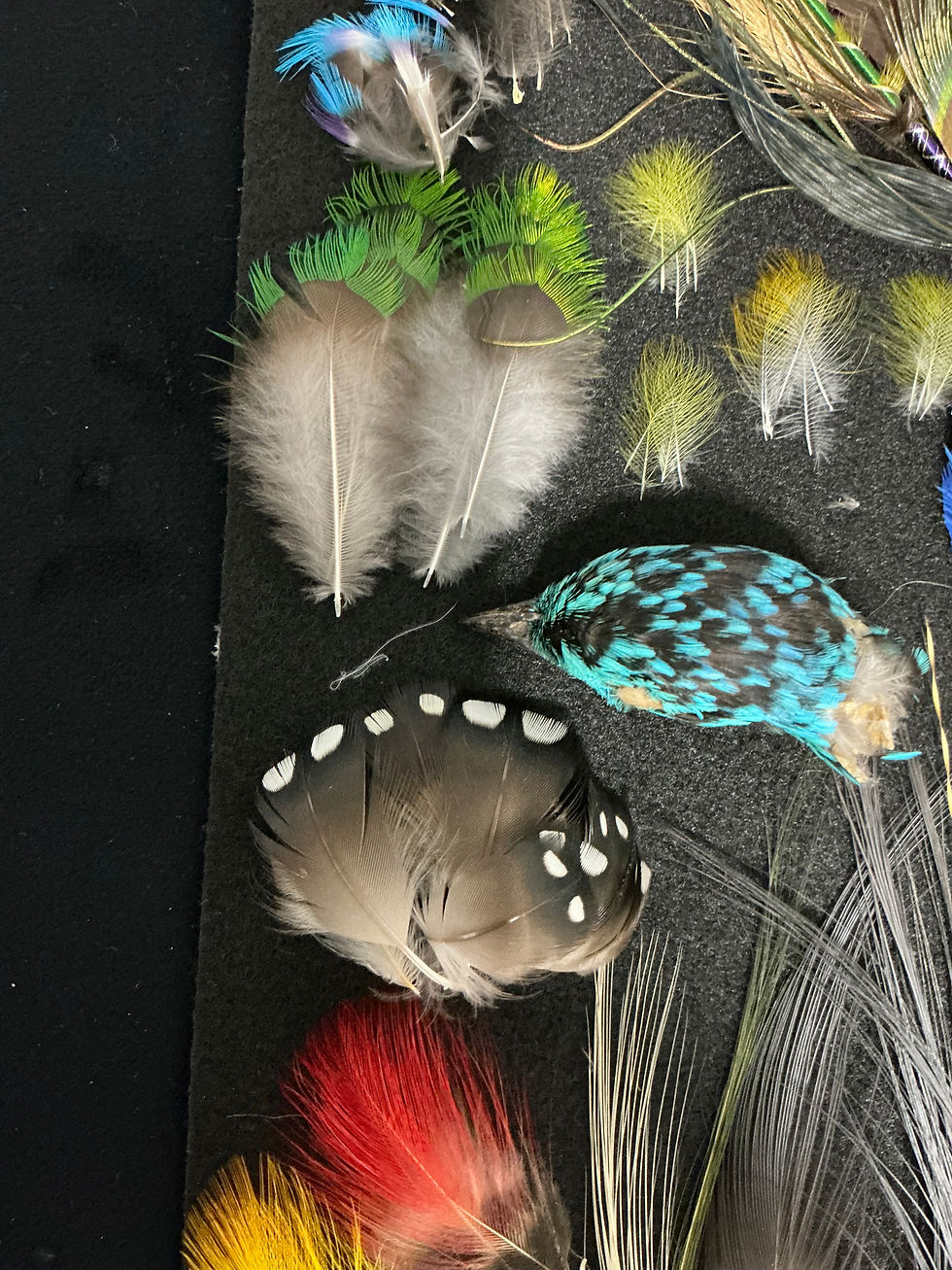 Thumbnail: Merry Christmas to me Exotic Classic Salmon feather assortment 5
