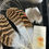 Thumbnail: Merry Christmas to me Exotic Classic Salmon feather assortment 1