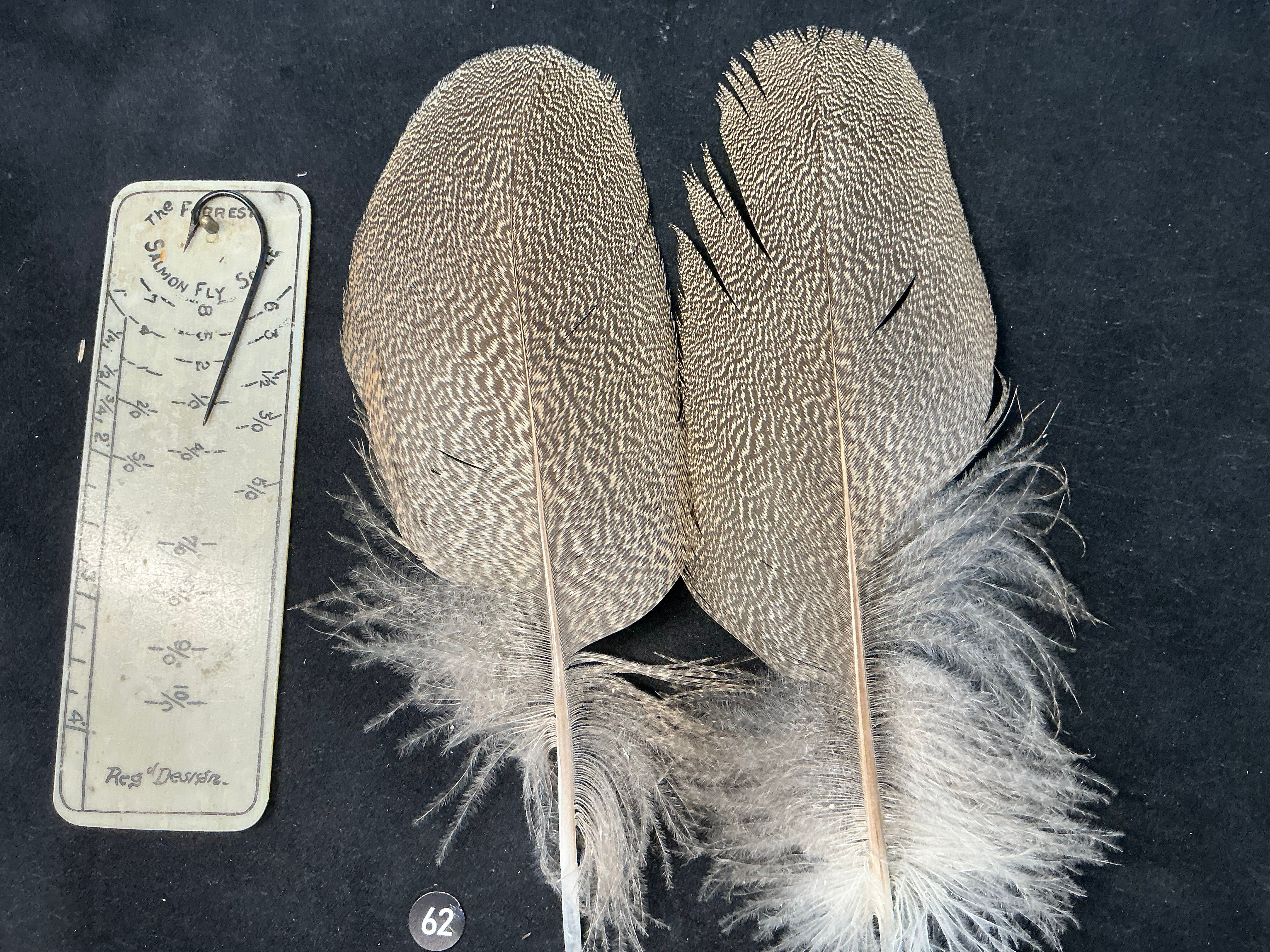 Kori Bustard  feathers  as shown 5/0 #62
