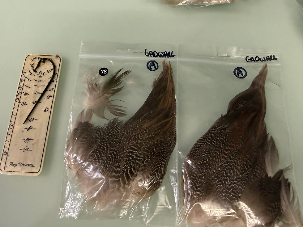 Thumbnail: Gadwall Wing Coverts Complete set Feathers Left and Right