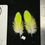 Thumbnail: Matched  parrot feathers for  Salmon Flies 81E-81T