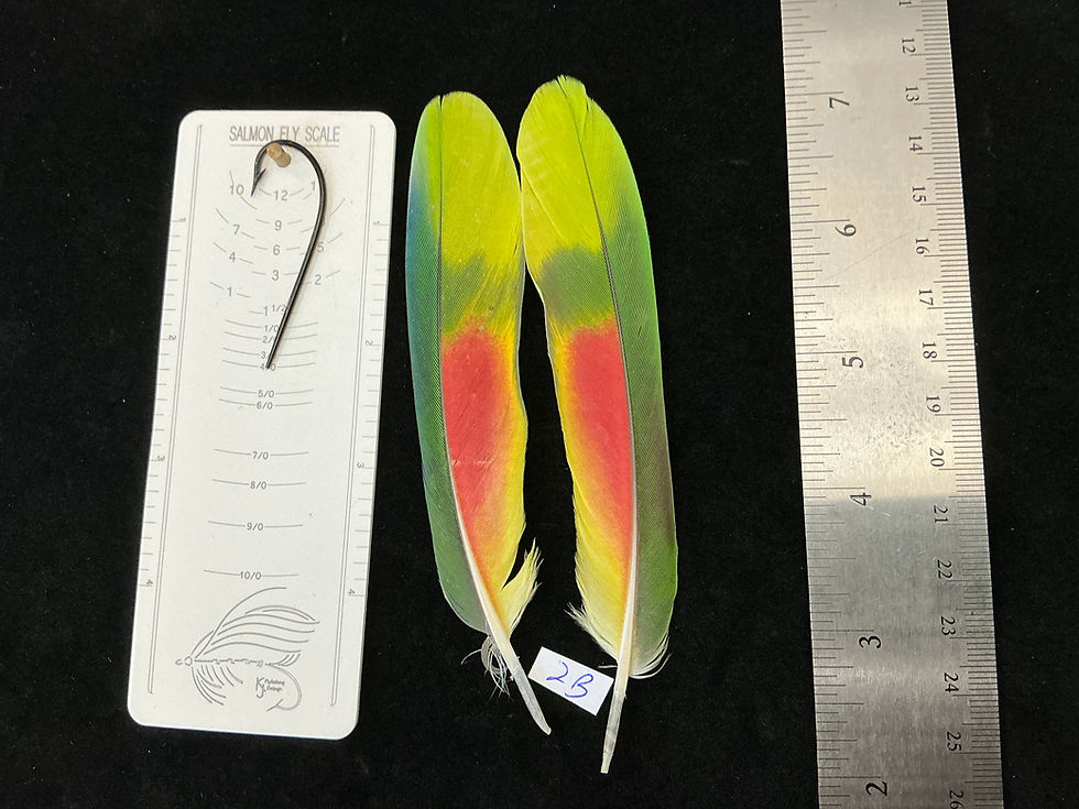 Thumbnail: Matched  parrot feathers for  Salmon Flies 1O-2D