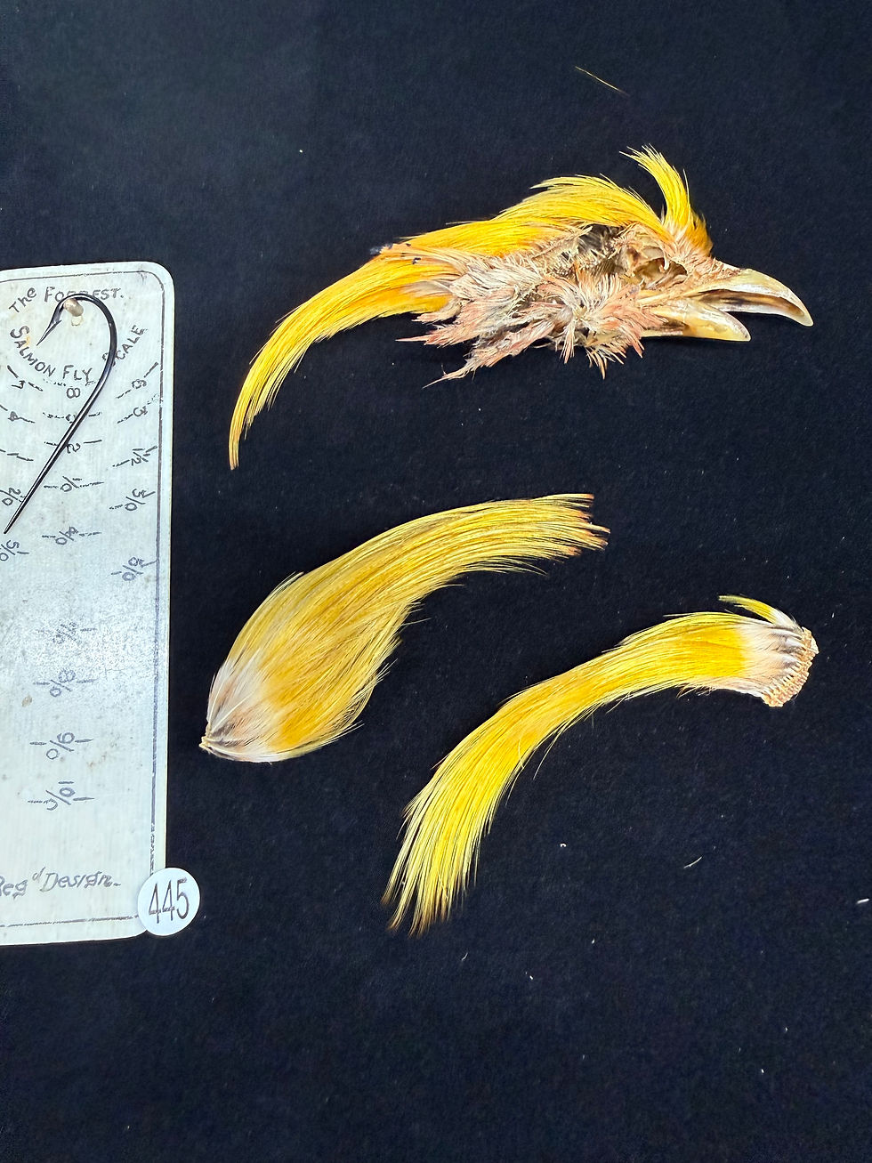 Thumbnail: Golden Pheasant Topping lot #441-455