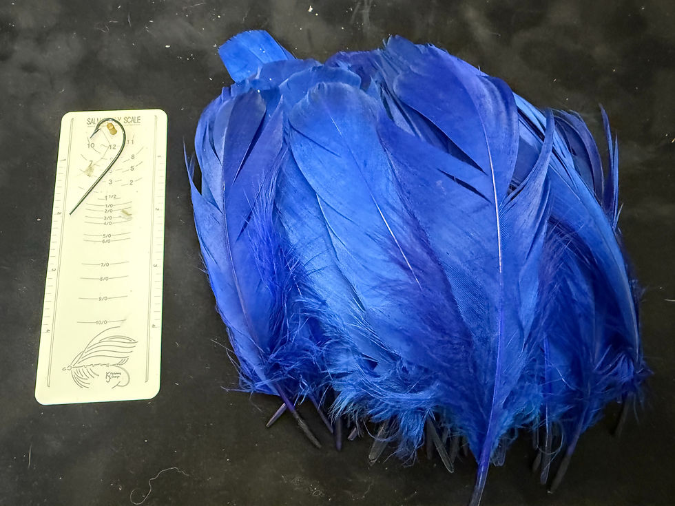 Thumbnail: Dyed Goose Shoulders in assorted colors