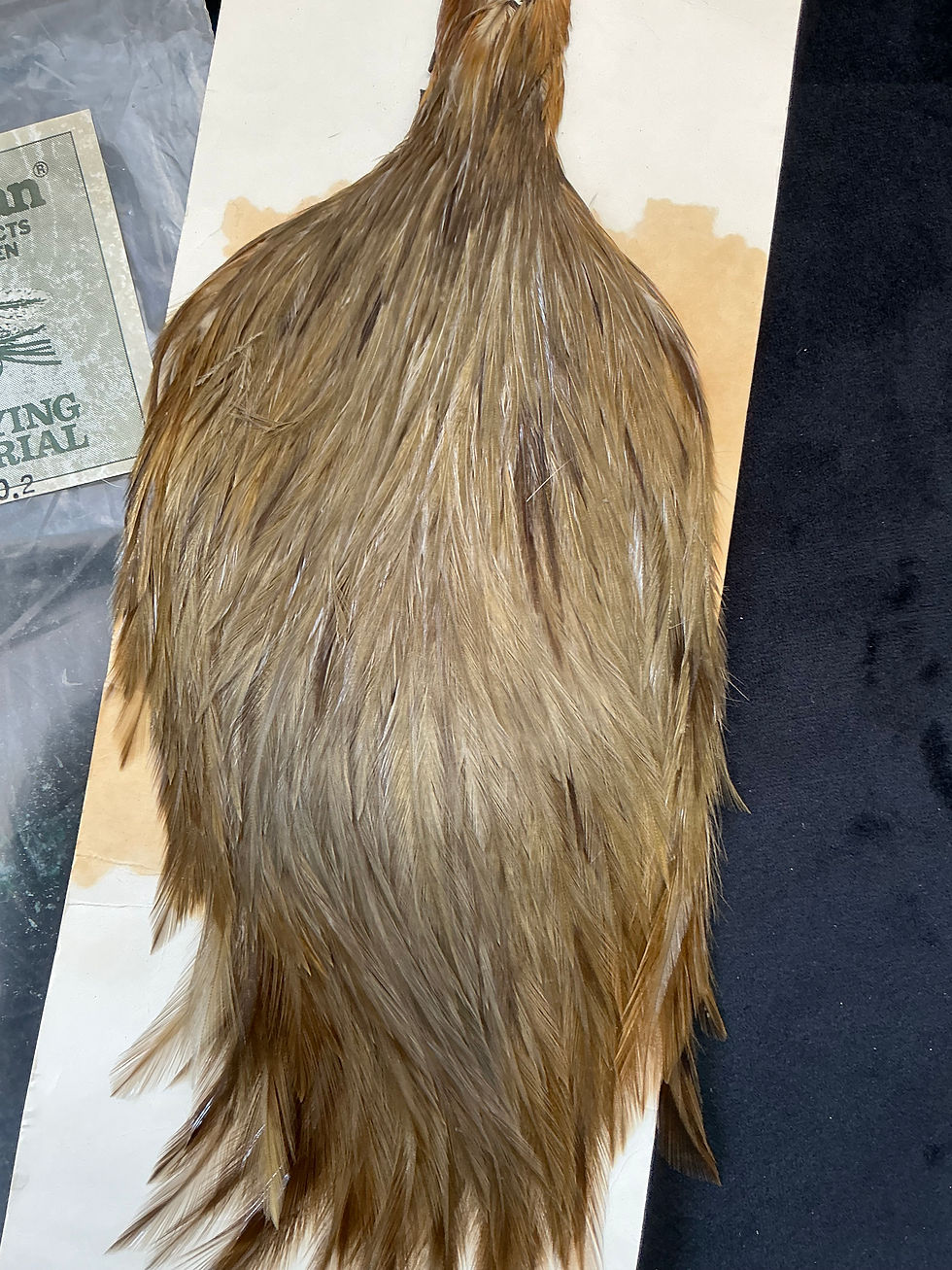 Thumbnail: Vintage L.L. Bean Dry Fly Neck Hackle from Cullen Collection