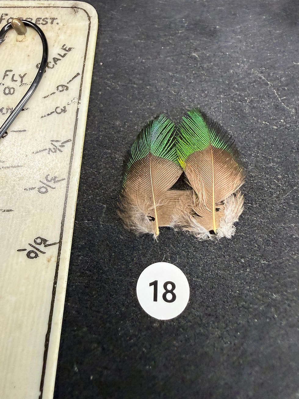 Thumbnail: PREMIUM Vintage Quetzal  Feathers 12-26