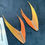 Thumbnail: Macaw tail feathers