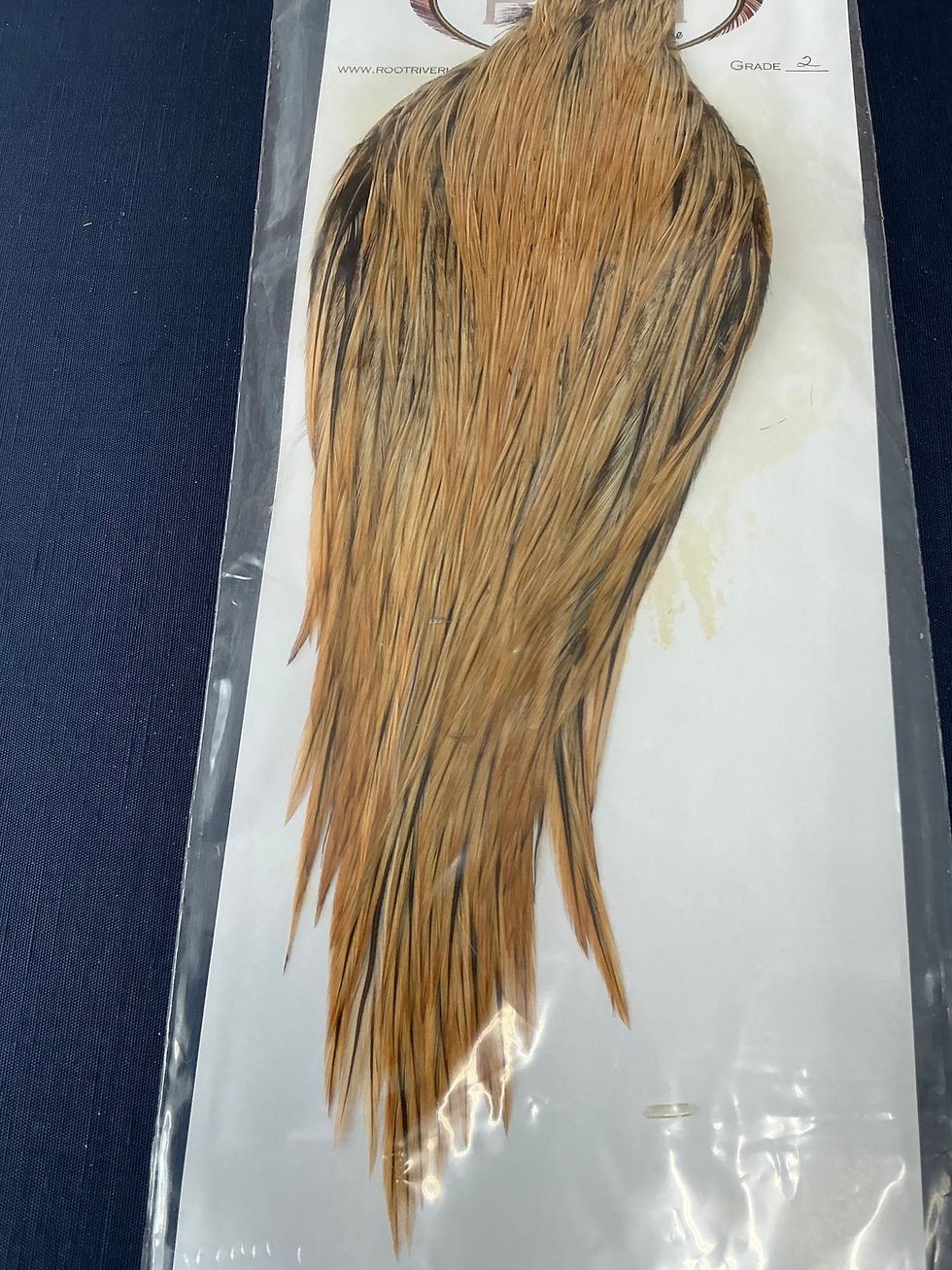 Thumbnail: 54 Dean Street Golden Badger Neck  from Cullen Collection N17