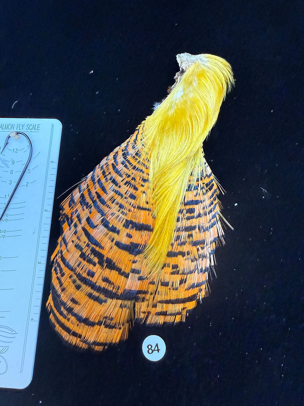Thumbnail: Super Quality Golden Pheasant Toppings/Crests Tippets #84
