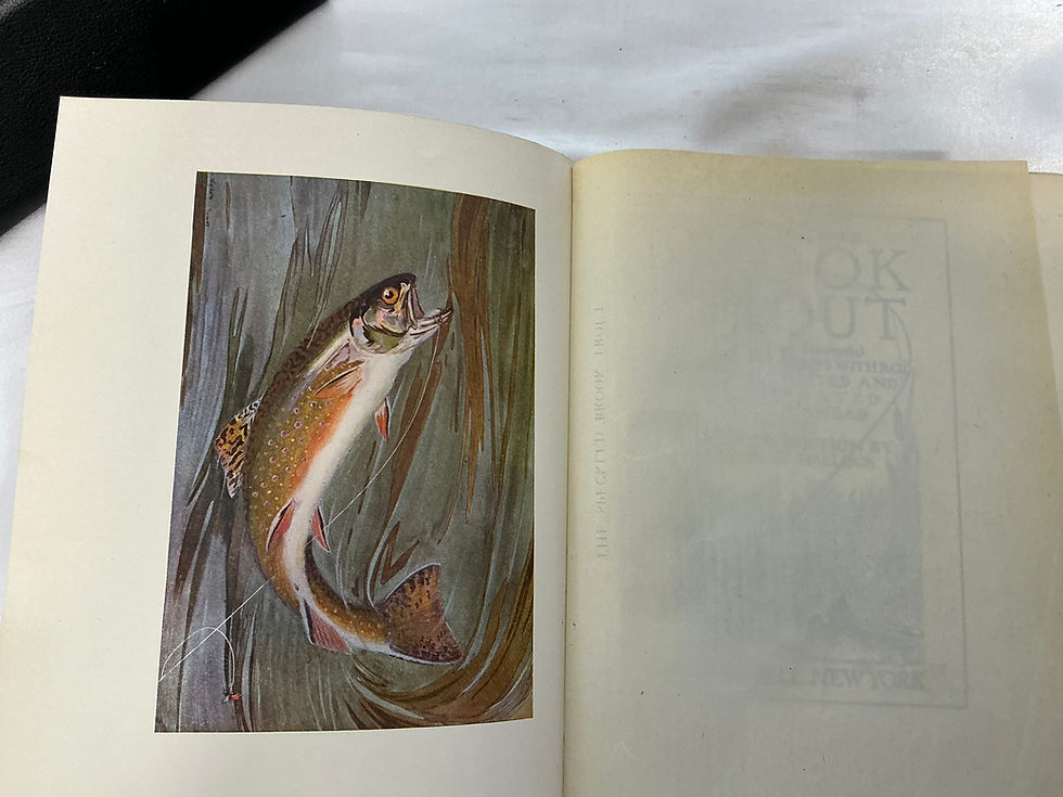 Thumbnail: The Speckled Brook Trout R H Russell
